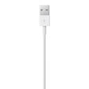 Apple Lightning to USB Cable 1M - SW1hZ2U6MzA5MDMx