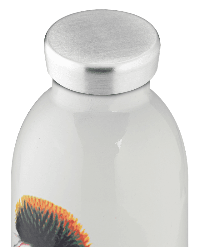 قنينة ماء معدنية - 500 مل - طبعة أزهار -  CLIMA Bottle (500ml) Double Walled Insulated Stainless Steel Water Bottle, Eco-Friendly Reusable BPA - 24Bottles - SW1hZ2U6MzU4ODM2