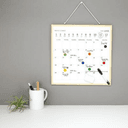 Kikkerland Mini White Board Calendar - Monthly Board Calendar with Lines and Days, Includes Dry Erase Marker & Magnetic Color Coding Buttons, Integrated Kickstand & Hook for Table or Wall Display - SW1hZ2U6MzYxMjk1
