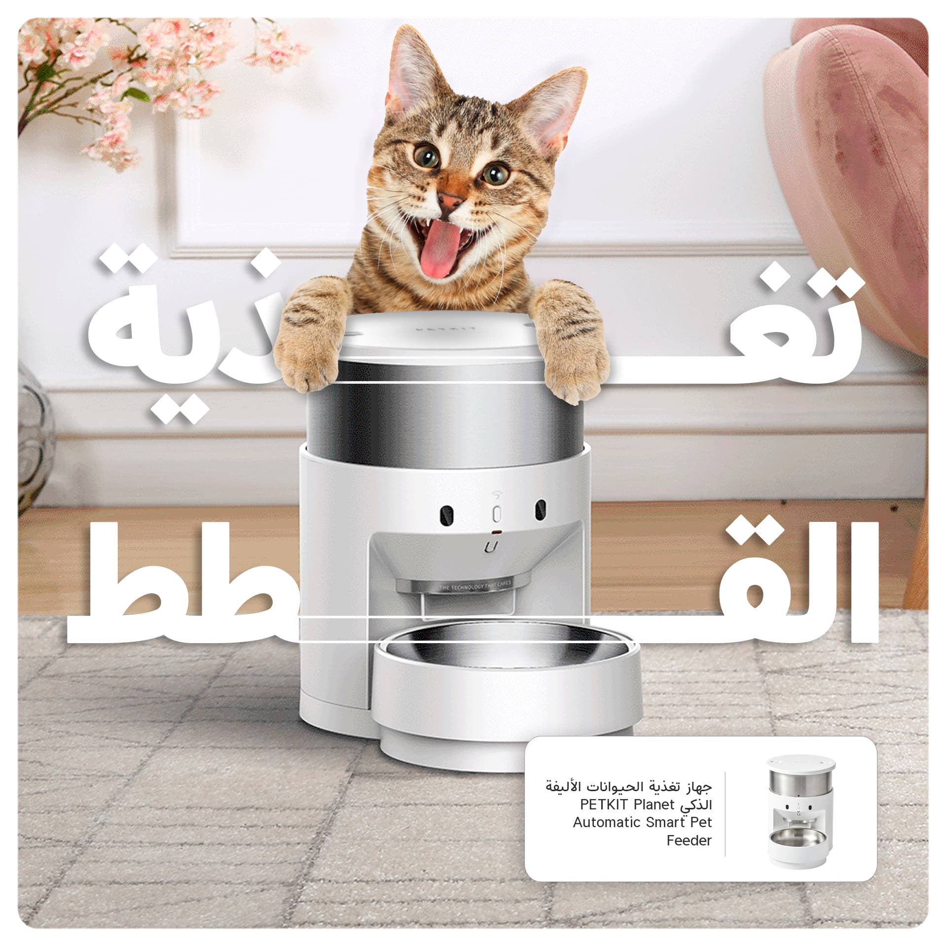 PETKIT Planet Automatic Smart Pet Feeder 3 liters