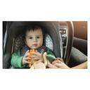 كرسي أطفال للسيارة أسود Baby Car Seat Cum Carry Cot -  Lionelo - SW1hZ2U6NjY3MDc3