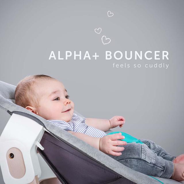 Hauck - Alpha Bouncer 2-in-1 - Bear Hearts Grey
