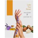 Cool &amp; Cool Cool & Cool - Body Lotion Shea Butter 500ml Pack of 7 - SW1hZ2U6OTM1ODcz
