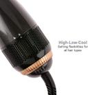 Joy Hair Styler and Dryer Professional Styling Brush  - SW1hZ2U6MTQ1NDUxMw==
