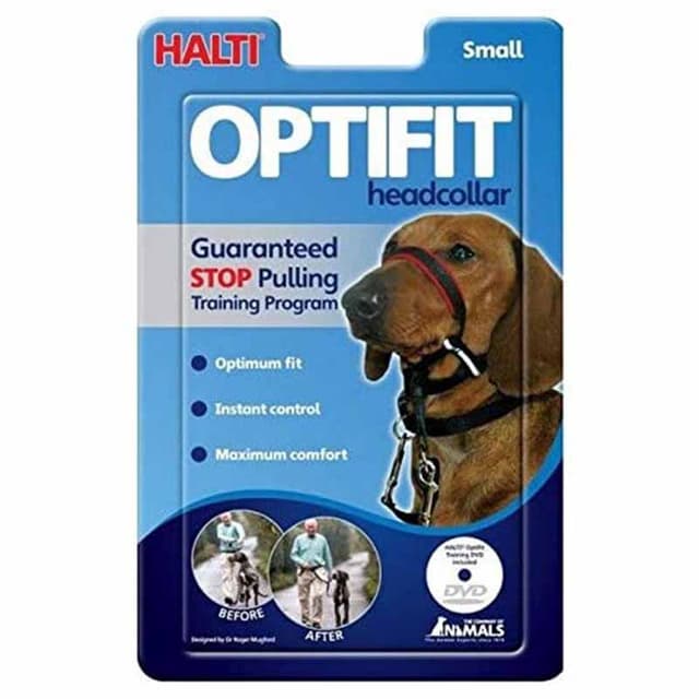 Order Company of Animals Halti Optifit Dog Head Collar Small Now